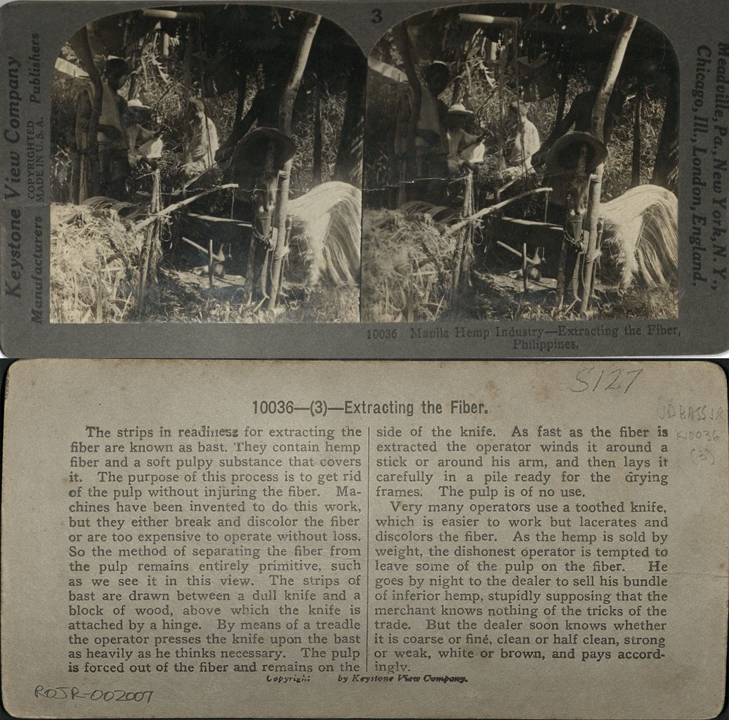 Manila Hemp Industry – Extracting the Fiber, Philippines.